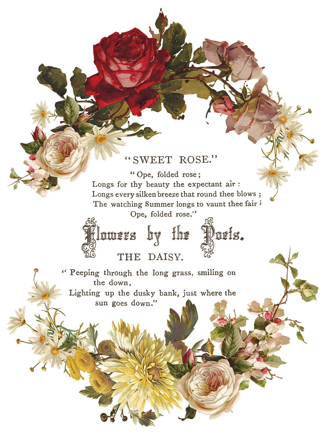 IOD-TRA-FBPFlowersbythePoetsartworkpage5small_1050x1400