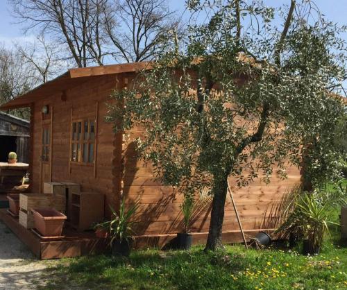 casetta-legno5